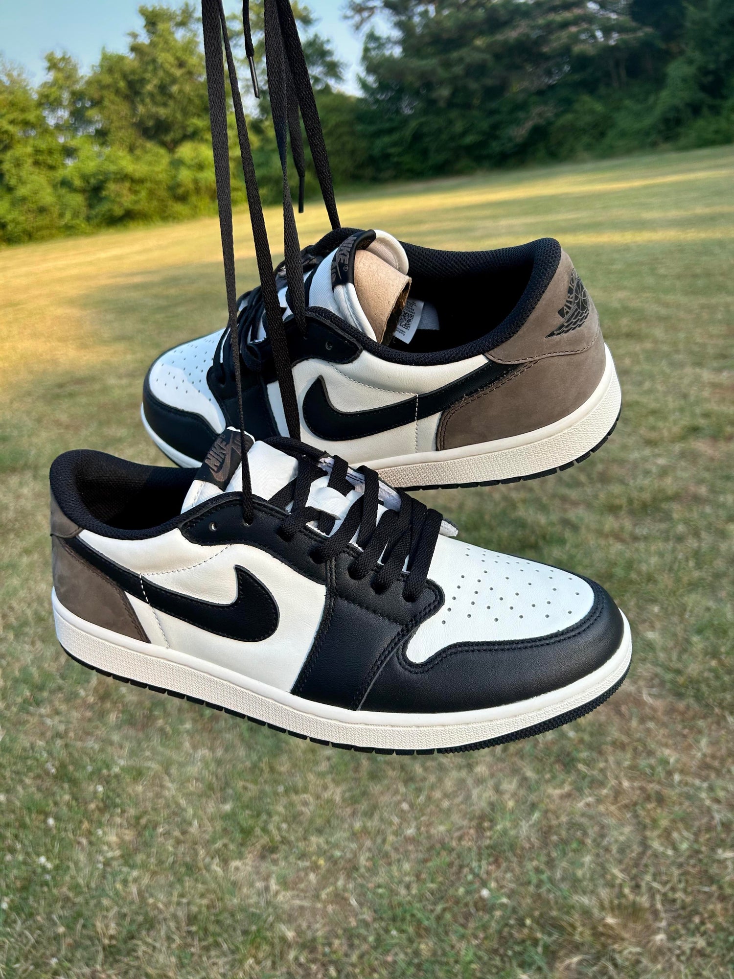 Jordan 1 Low Mocha Collection