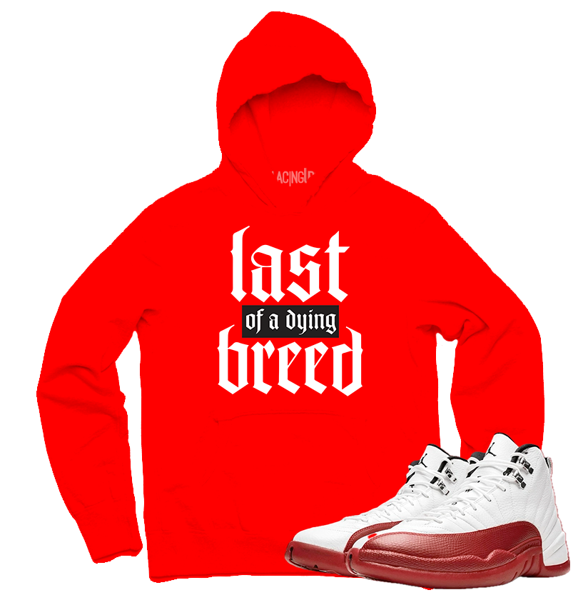Jordan 12 Cherry breed red hoodie-Lacing Up