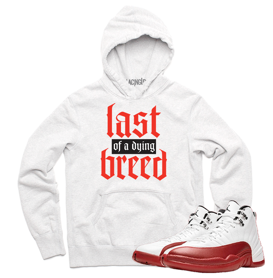 Jordan 12 Cherry Breed white hoodie-Lacing Up