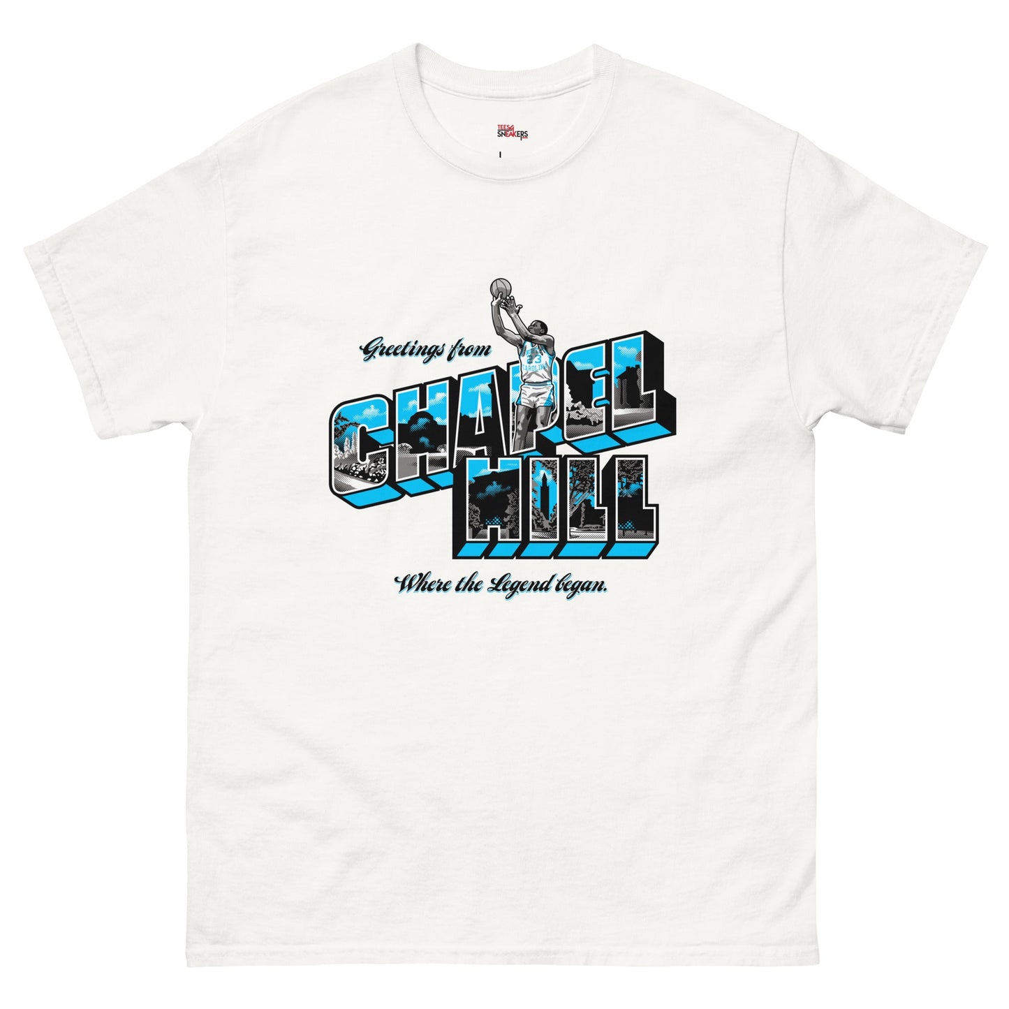 Jordan 17 low unc chapel hill white tee